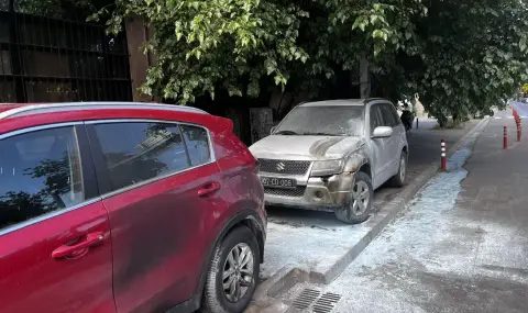 мостове вместо барикади: как отворените граници могат да победят омразата