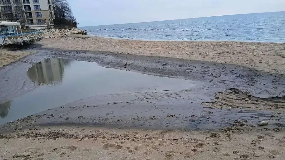скритите отрови на черното море: защо плажовете ни станаха черни?