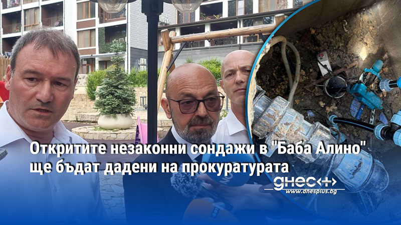тайният водопровод на баба алино: как се краде вода в гората