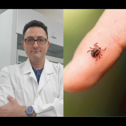 внимание за кърлежи и вируси! ето какво трябва да знаете за здравето си сега
