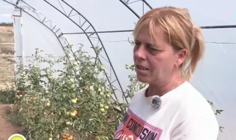 зелена революция в ружинци: как една община побеждава бедността с градинска лопата