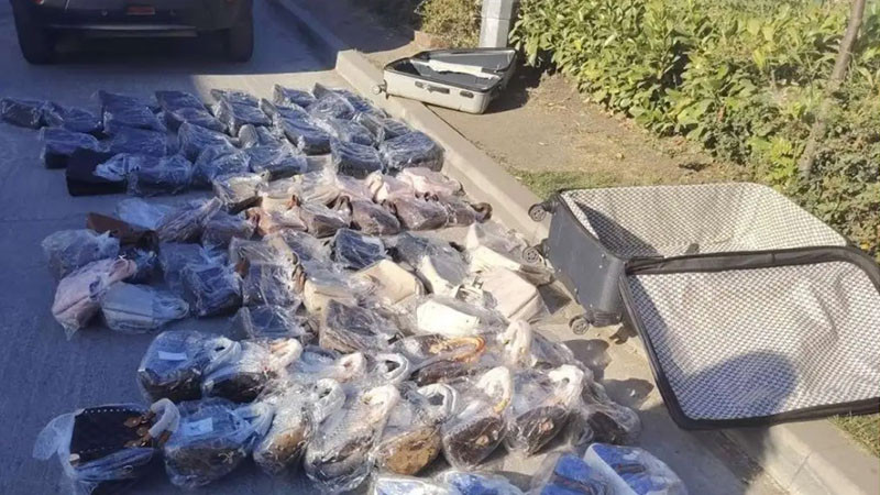 крахът на империята от фалшификати в слънчев бряг