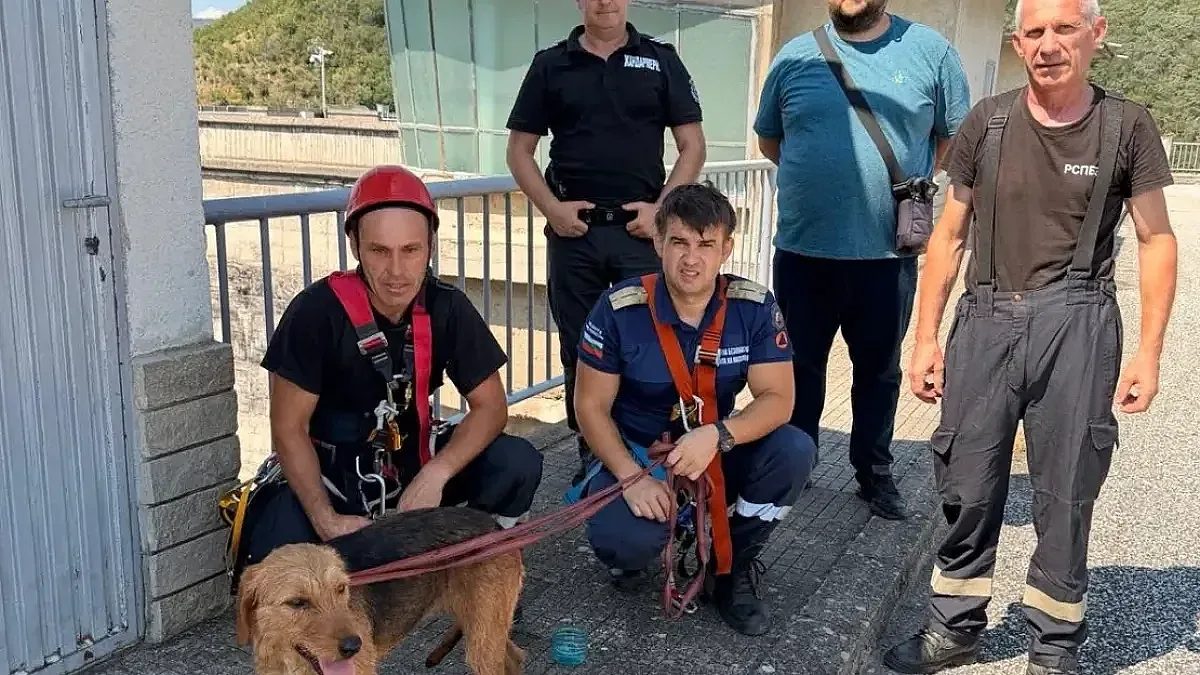 смелост над водата: история за човечност в кърджали