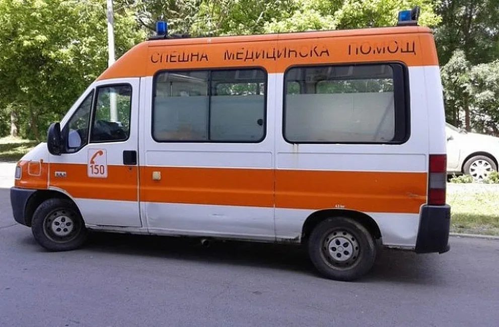 трагедия в кънчево: когато домашният любимец се превръща в опасен хищник