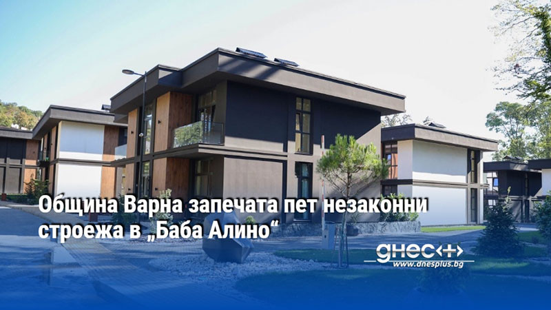 бетонът в „баба алино“ под обсада: община варна запечата незаконни сгради