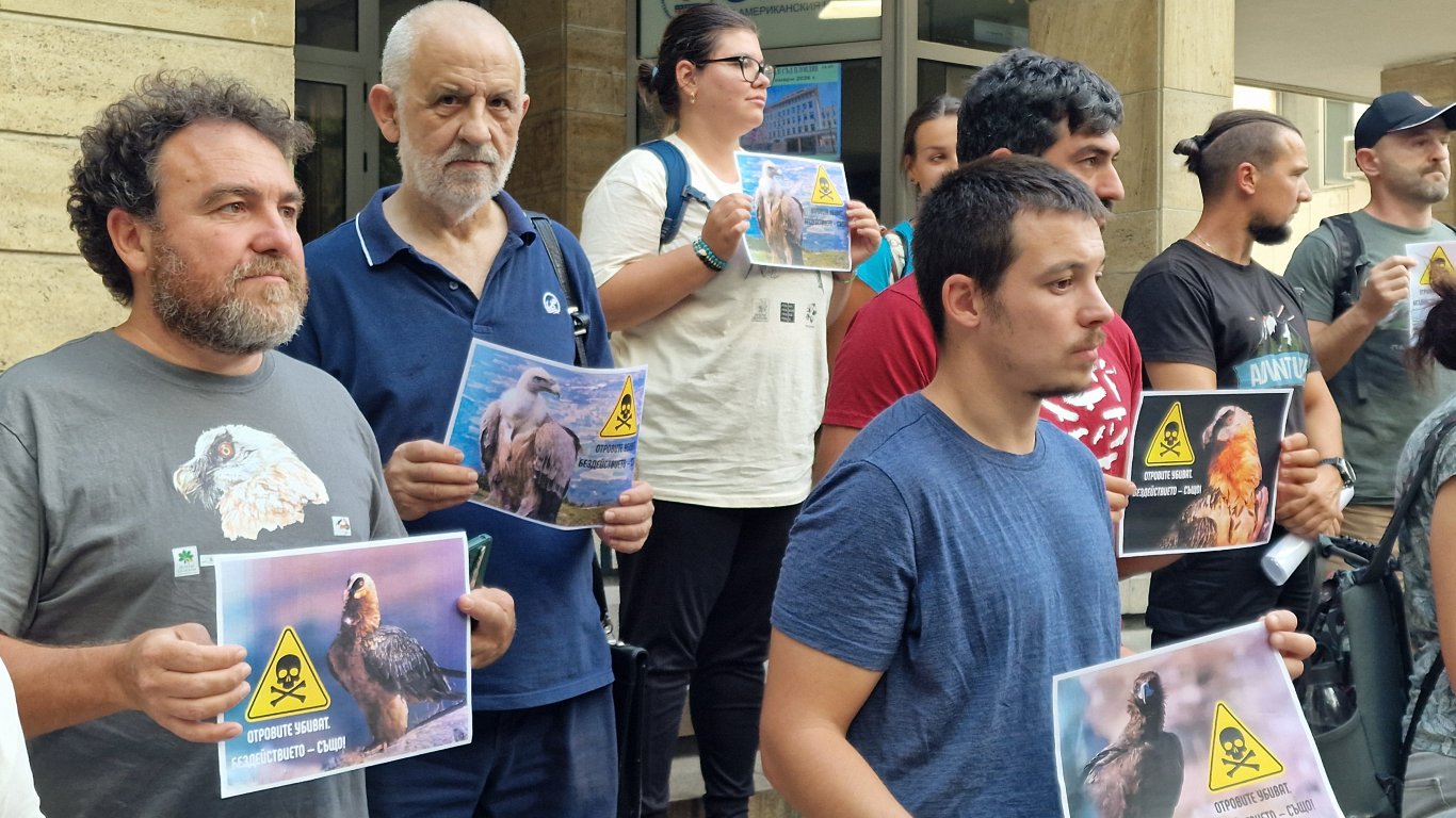 край на безнаказаността: пловдив изисква справедливост за убитите животни