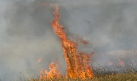 опасност край пловдив: бивш държавник подпали вилната зона на село марково