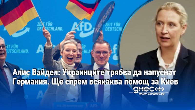 политическо земетресение в германия: радикалният план на алис вайдел за бежанците и киев
