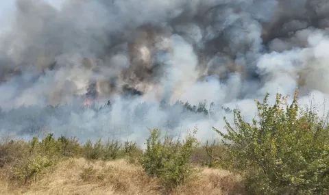 рила отново е в безопасност: как бе спрян пожарът при царев връх