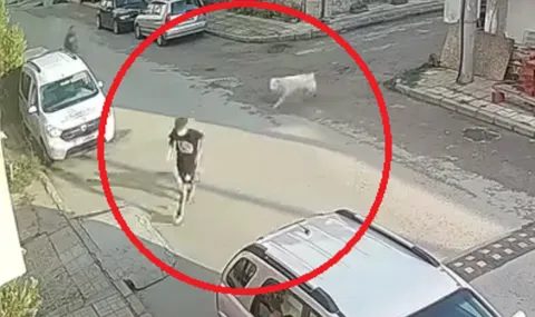 трагедия в банско: когато безотговорността на собственика става фатална