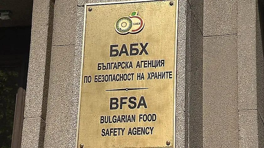 тревога в хасковско: нова зараза от шарка при дребните преживни животни