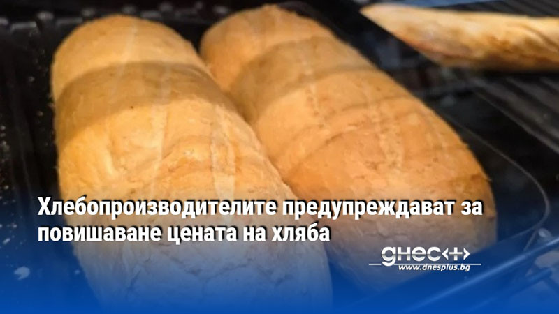 ще поскъпне ли насъщният? хлебопроизводители пред трудни решения заради горивата