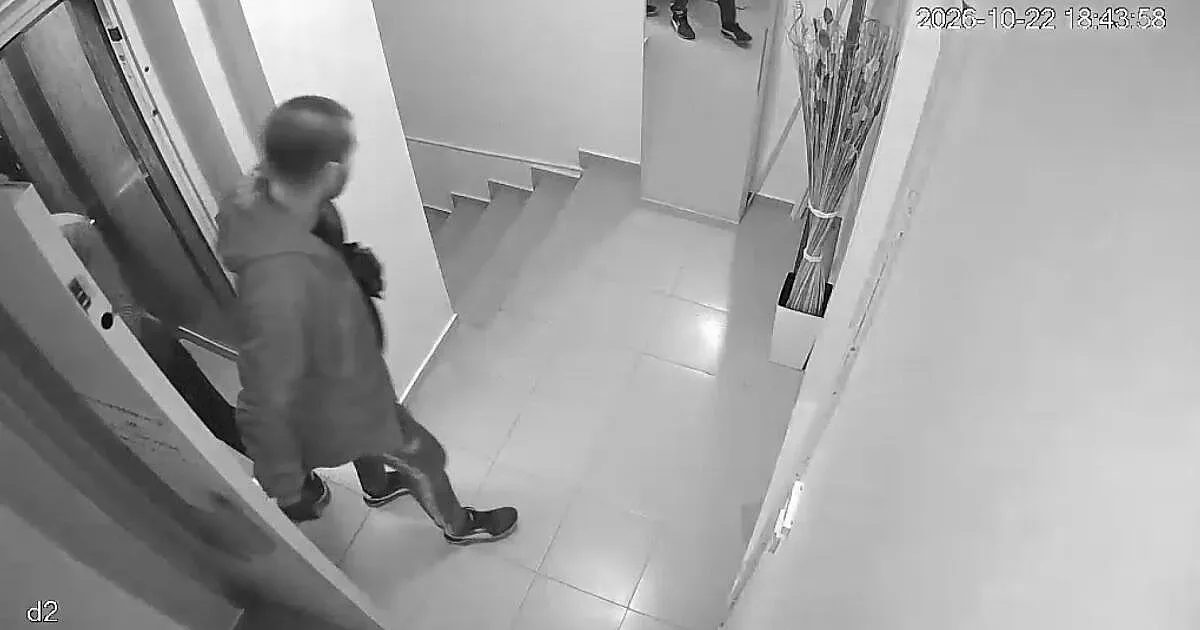 700 000 свидетели онлайн, но нито един арест: странният обир във варна, който разтърси мрежата