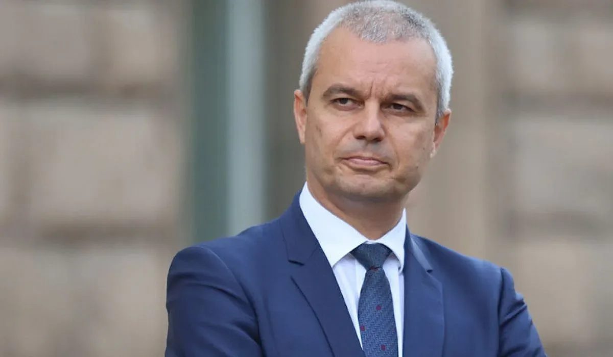 германският сигнал: защо „алтернатива за германия“ залага на костадинов?