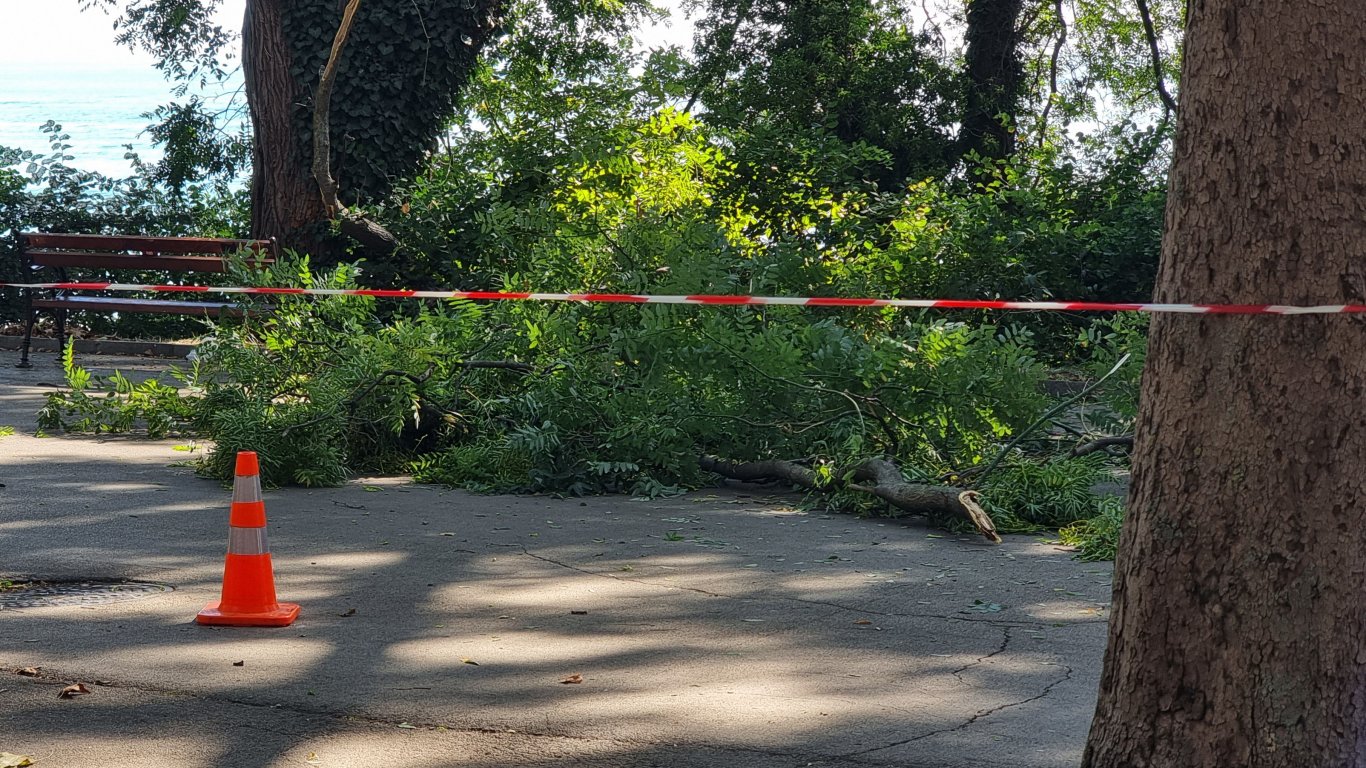 невидимата опасност: когато зеленият рай се превърна в капан във варна