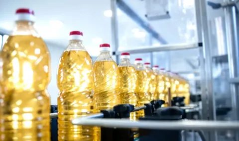 производители: цената на олиото остава стабилна, реколтата е добра