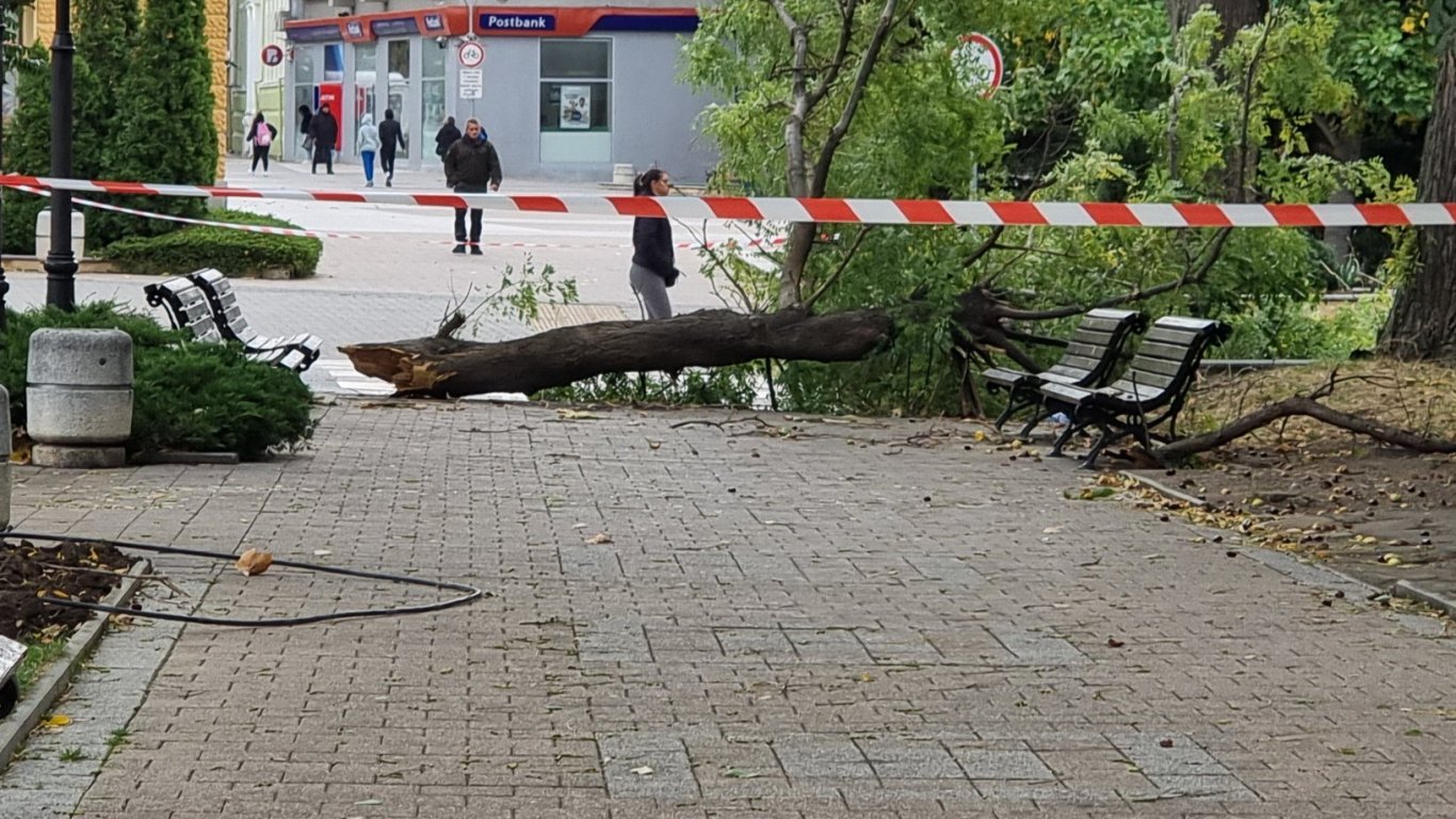 стихията в сливен: когато вятърът превърне градската среда в капан